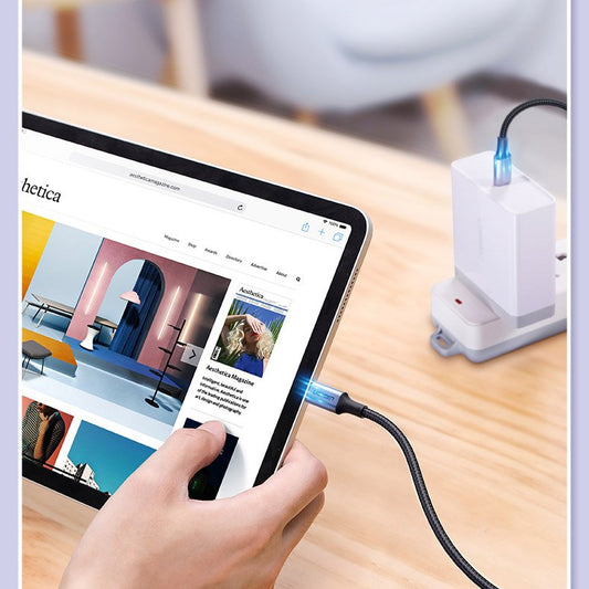 Cablu Date si Incarcare USB-C - USB-C UGREEN US316, 100W, 1m, Gri