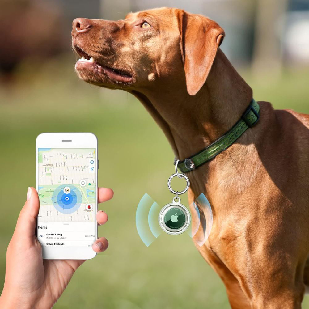 Husa Techsuit CT15 pentru Apple AirTag, Transparenta