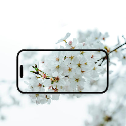 Folie de protectie Camera Spate Anank AR pentru Apple iPhone 17 Air, Sticla Securizata, Multicolor