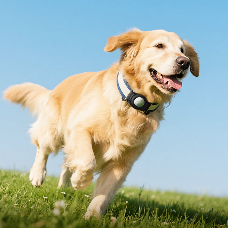 HOCO SmartTag E91C pentru iOS Series, Alb