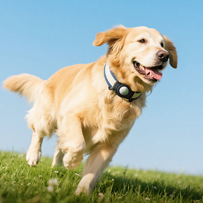 HOCO SmartTag E91C pentru iOS Series, Alb